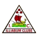 伊利亚堡B队  logo