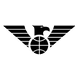 纽卡斯尔老鹰 logo