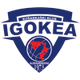 伊戈卡 logo