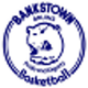 班克斯顿棕熊女篮 logo