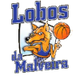 洛沃斯 logo