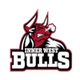 内西公牛 logo