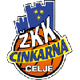 ZKK采列女篮  logo