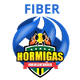 霍米加斯女篮 logo