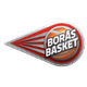 波拉斯  logo