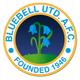 布鲁贝尔联 logo
