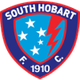 南霍巴特后备队 logo