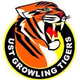 UST猛虎 logo