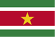 苏里南 logo