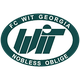 WIT格鲁吉亚  logo