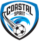 斯派里特女足  logo
