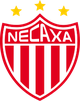 内卡萨 logo