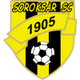 索罗克萨 logo