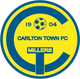 卡尔顿镇 logo