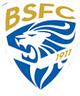 布雷西亚U18 logo