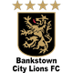 本克斯拓城狮队  logo