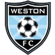 韦斯顿  logo