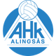 艾林格萨斯女足  logo