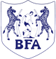 博茨瓦纳  logo