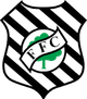 菲盖伦斯U21 logo