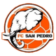 圣佩德罗FC logo