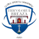 CS布雷亚萨 logo