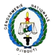 CF国家宪兵队  logo