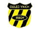 IRB雅伊奇  logo