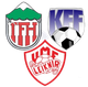 FHL女足  logo