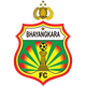 巴杨卡拉泗水联U20 logo