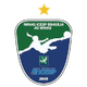 米納斯ICESP女足U20  logo