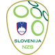 斯洛文尼亚 logo