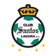 桑托斯拉古纳U20  logo