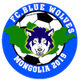 蓝狼FC logo