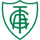 亚美利加女足 logo