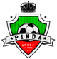 平达尔SC女足  logo