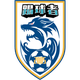石家庄踢球者 logo