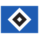 汉堡女足  logo