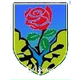 ASD塞拉韦扎足球  logo