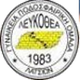 里夫科西亚女足  logo