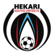 海卡日联队  logo