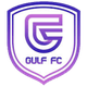 海湾英雄FC  logo