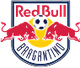 布拉干蒂诺RB青年队  logo