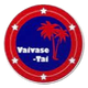 华斯泰FC logo