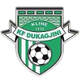 杜卡吉尼 logo