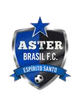 紫菀巴西U20 logo