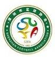 深圳足协U19  logo