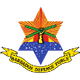 BDF运动 logo