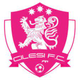 西莱西FC  logo