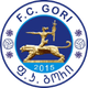FC哥里 logo